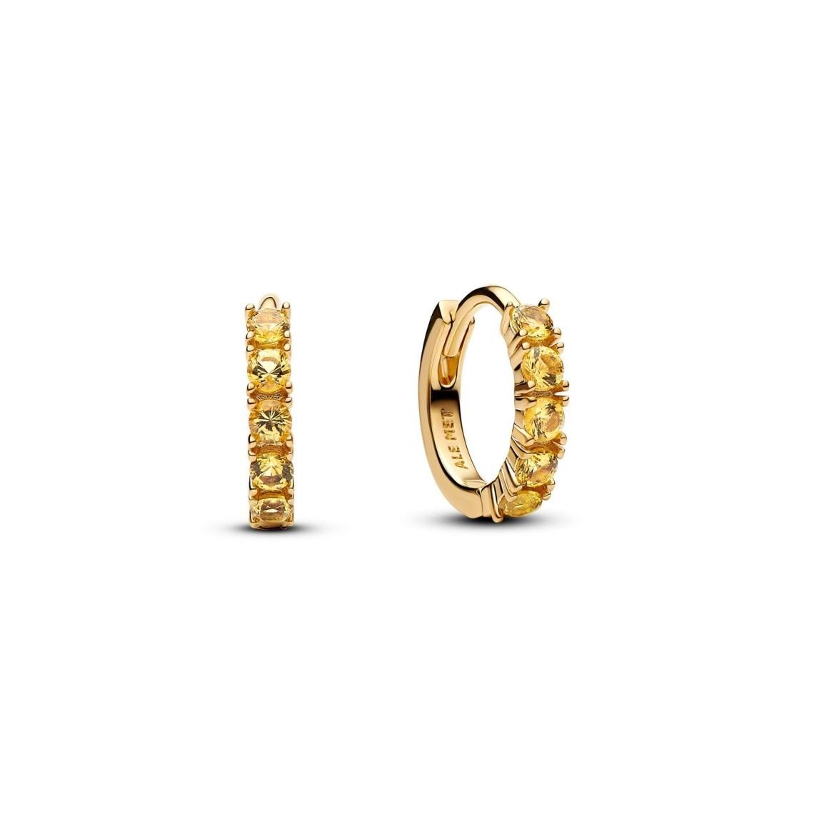 Pandora Boucles Doreilles Or 18K