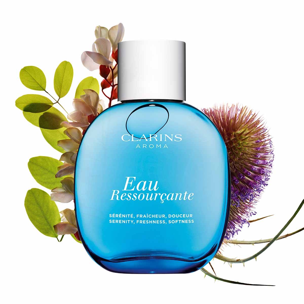 Mens Perfumes Clarins