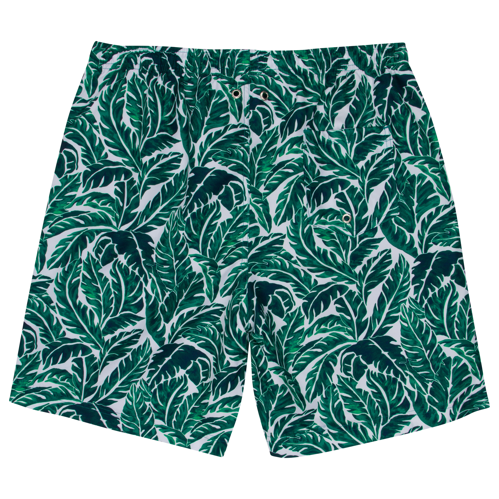 Men's Swimwear