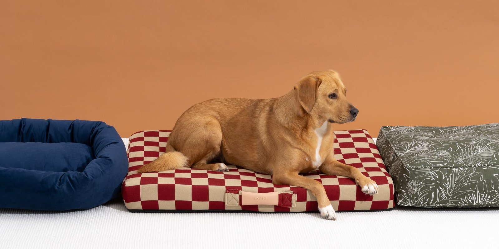 Beds, Bedding & Furniture for Dogs