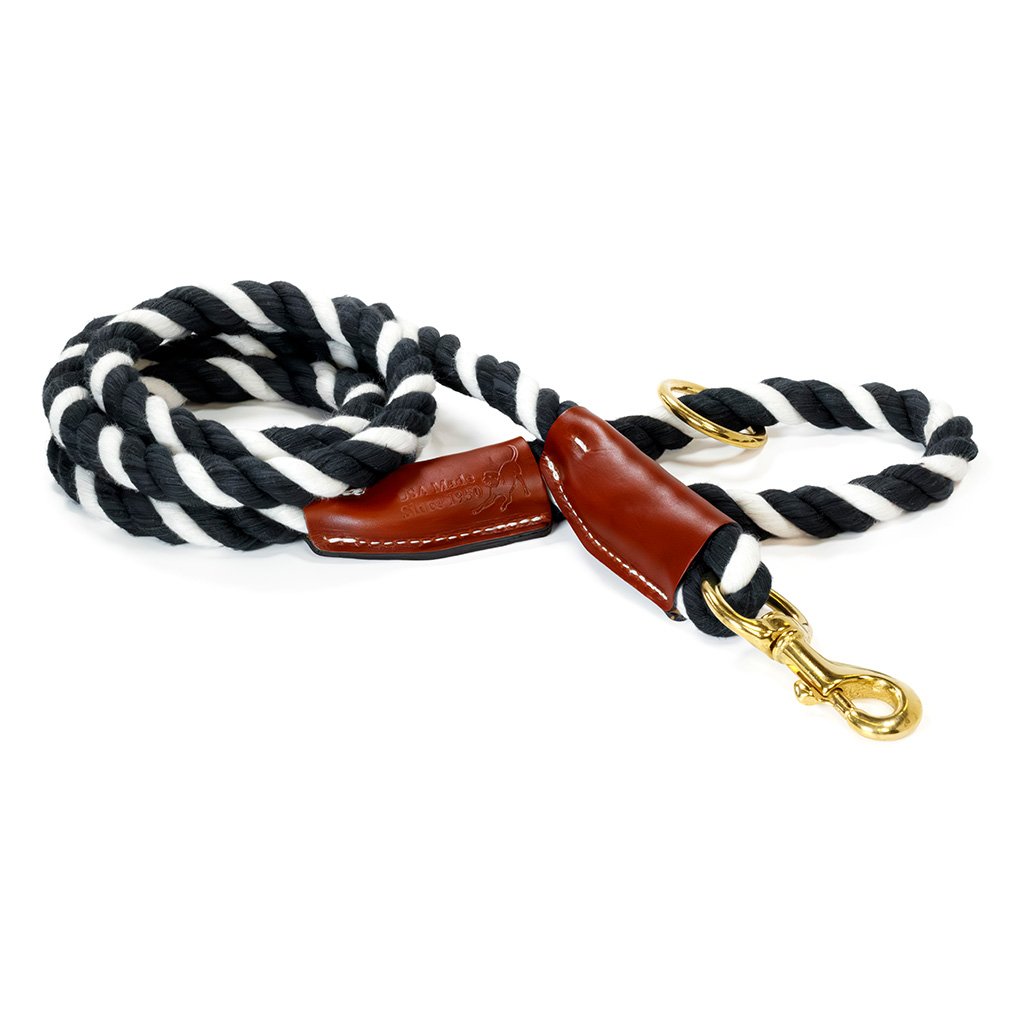 Dog Leashes