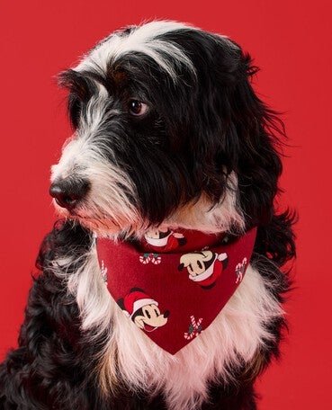 Pet Clothing