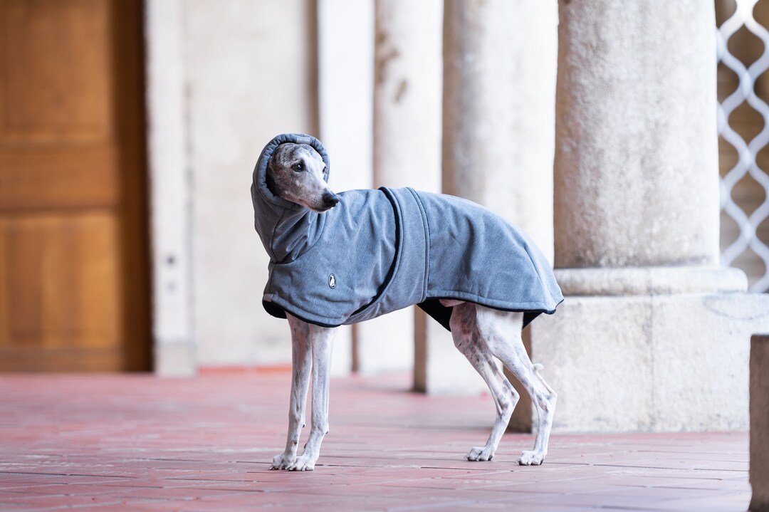 Pet Clothing Finition Luxe - Bleu