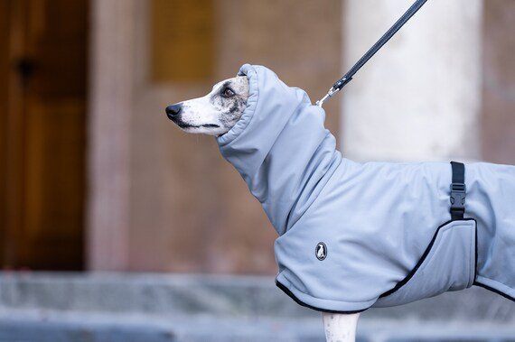 Pet Clothing Finition Luxe - Bleu