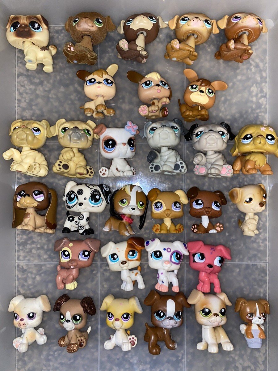 Pet Toys Bleu