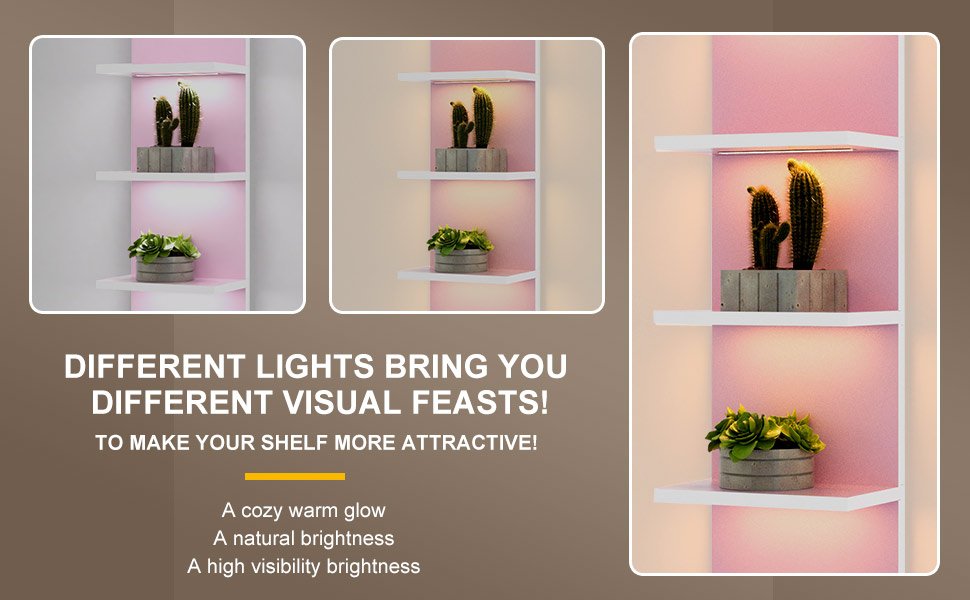 Storage Shelves Philips Hue