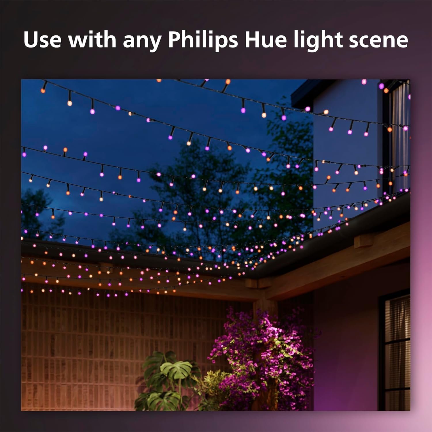 String Lights Philips Hue