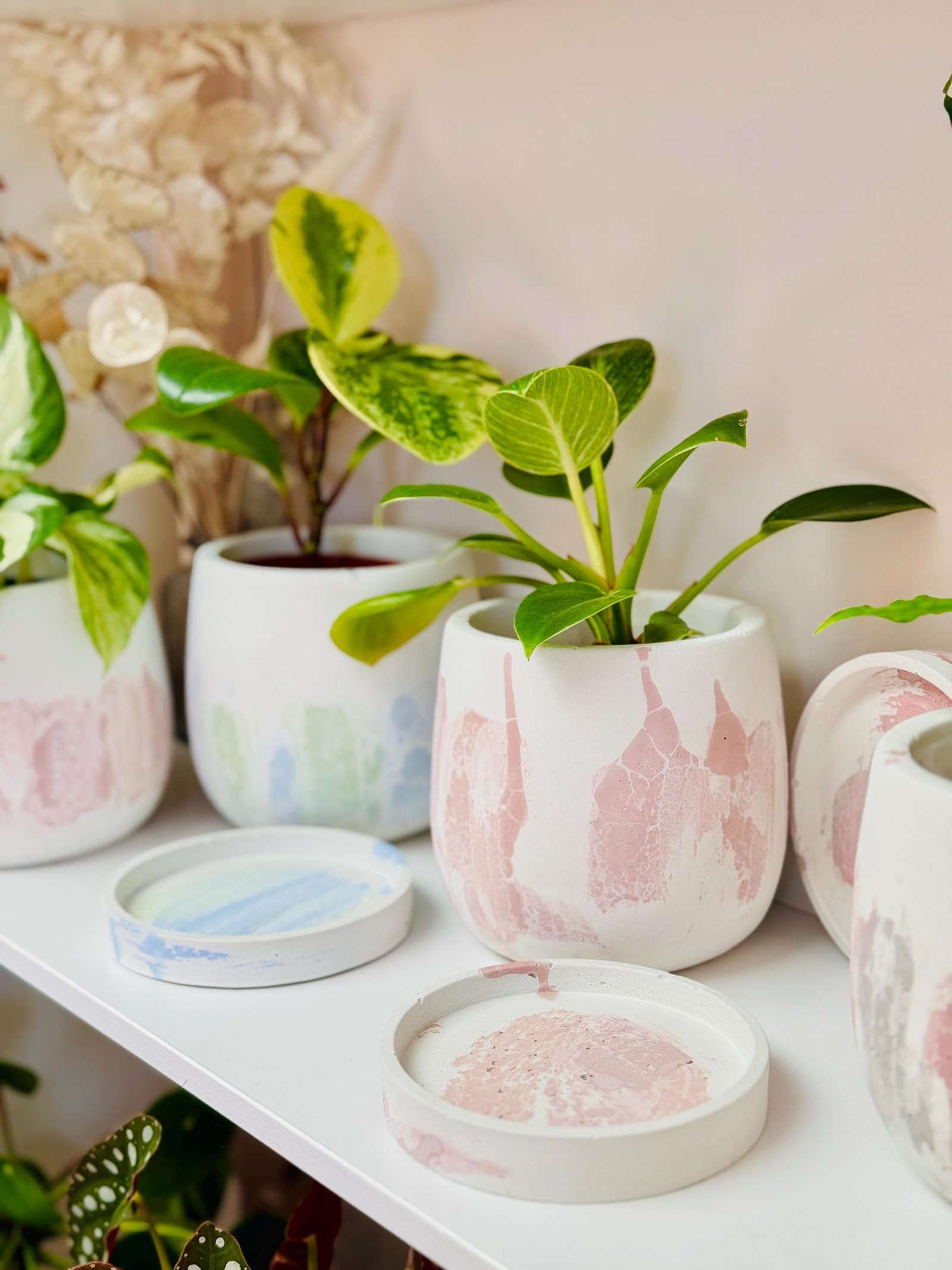 Vases Pots Samsung Vert