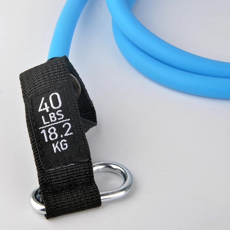 11 Elastic Band for Bodybuilding. Elastic Band for ...