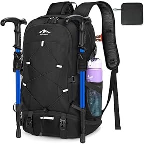 Backpacks - Luggage & Travel Gear: Fashion
