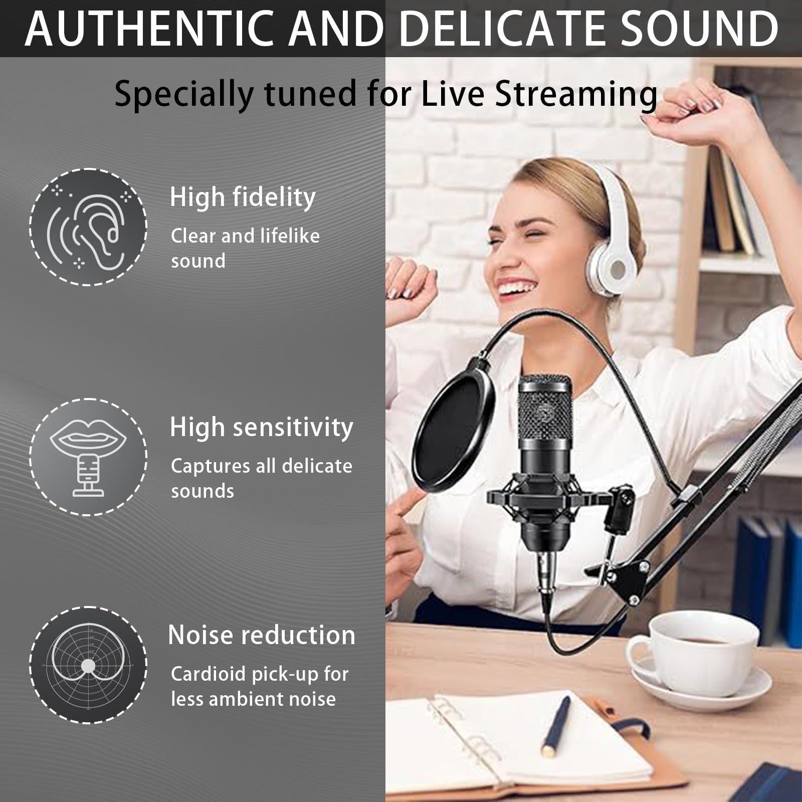 BM800 Podcast Kit complet pour 2 microphones de studio cardioïde ...