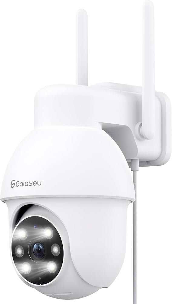 Camera De Surveillance