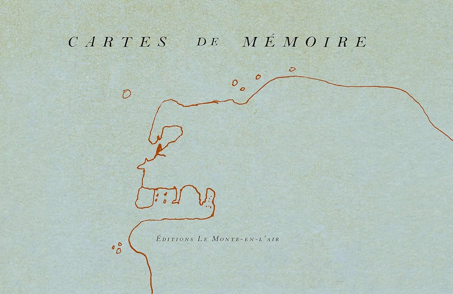 Cartes mmoire Gris