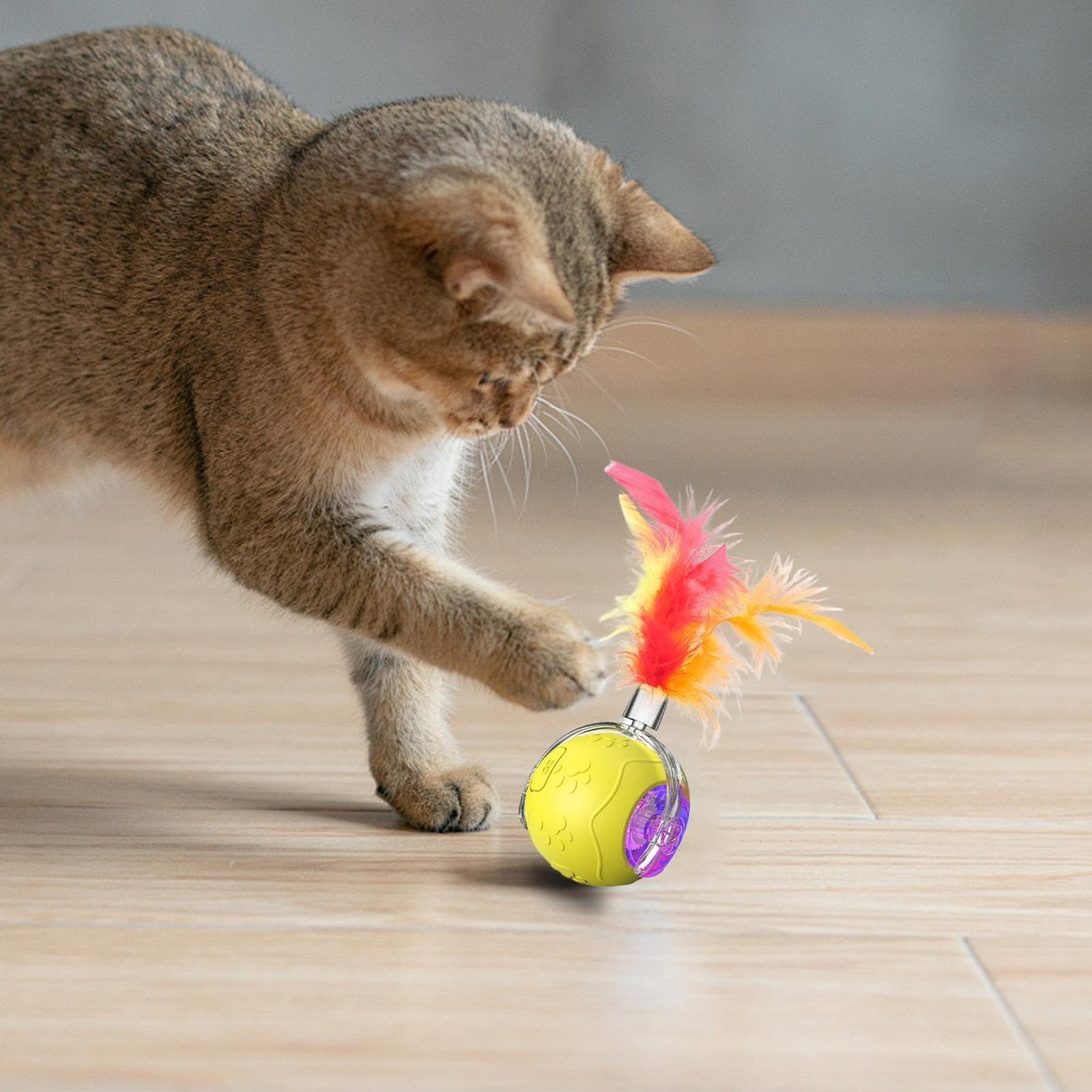 ccuzs Smart Rolling Ball, Pet Toys, Compact Interactive Automatic ...