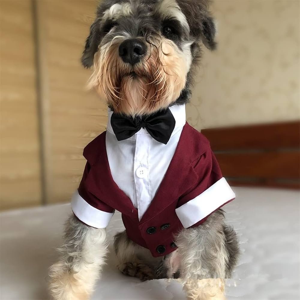 Chien Costumes Smokings Formels Robes de mariée Manteau Fête ...