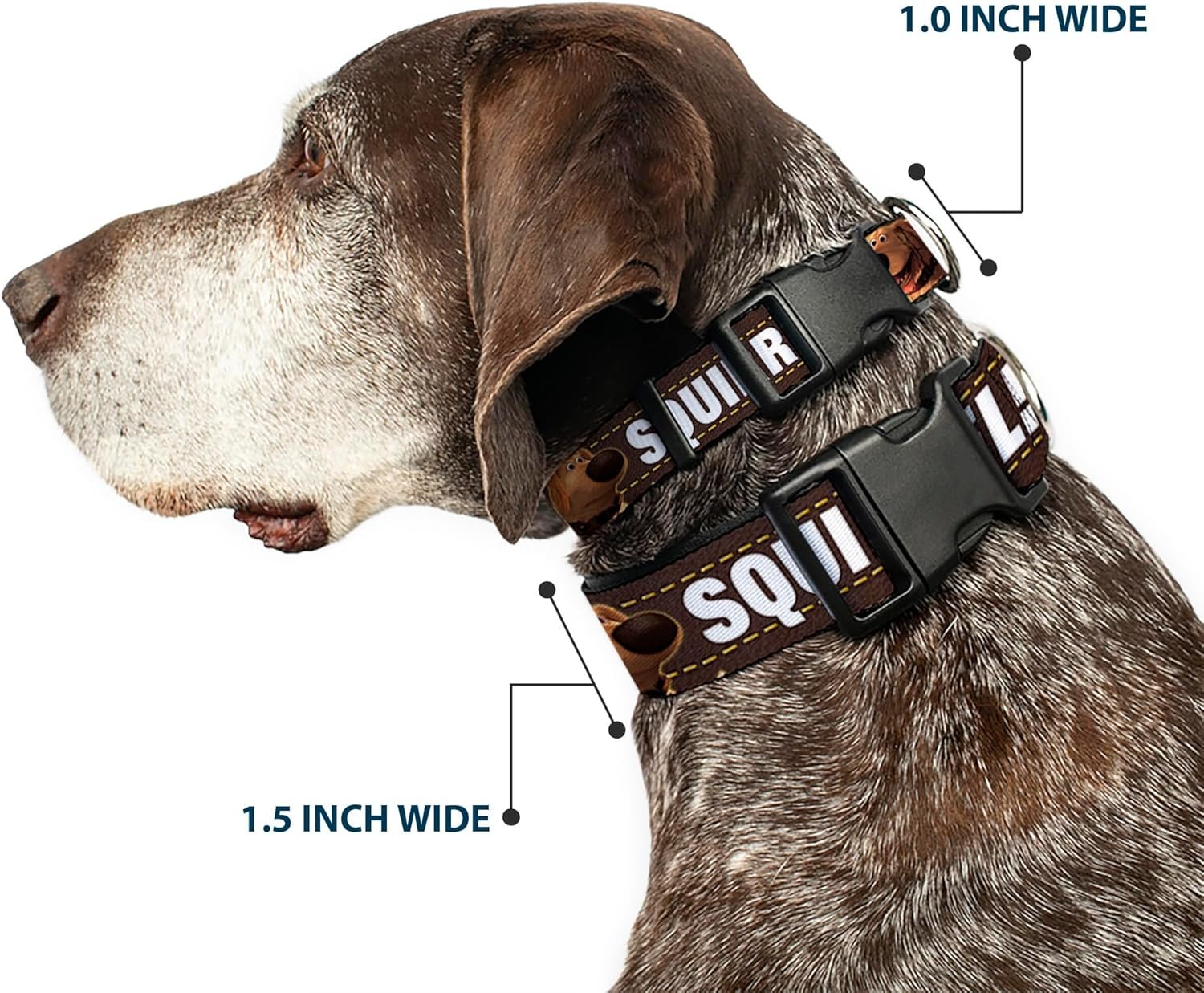 Collars Leashes Collection Premium - Blanc