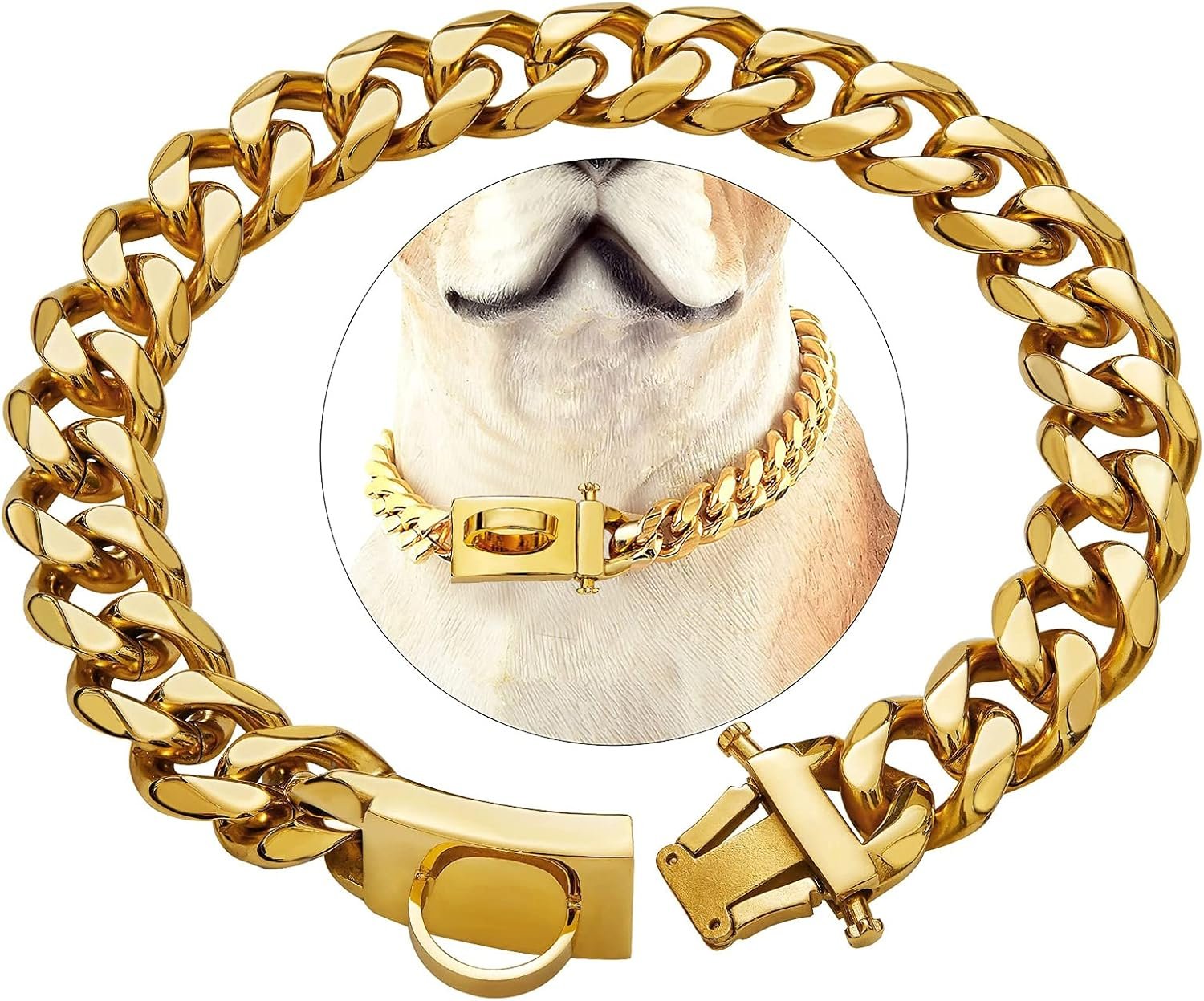 collier chien doré