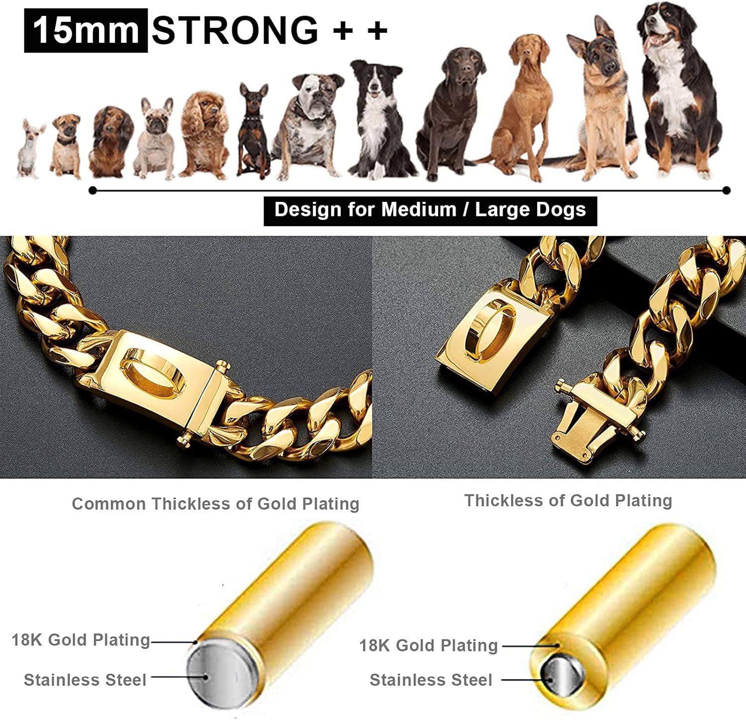 collier chien doré