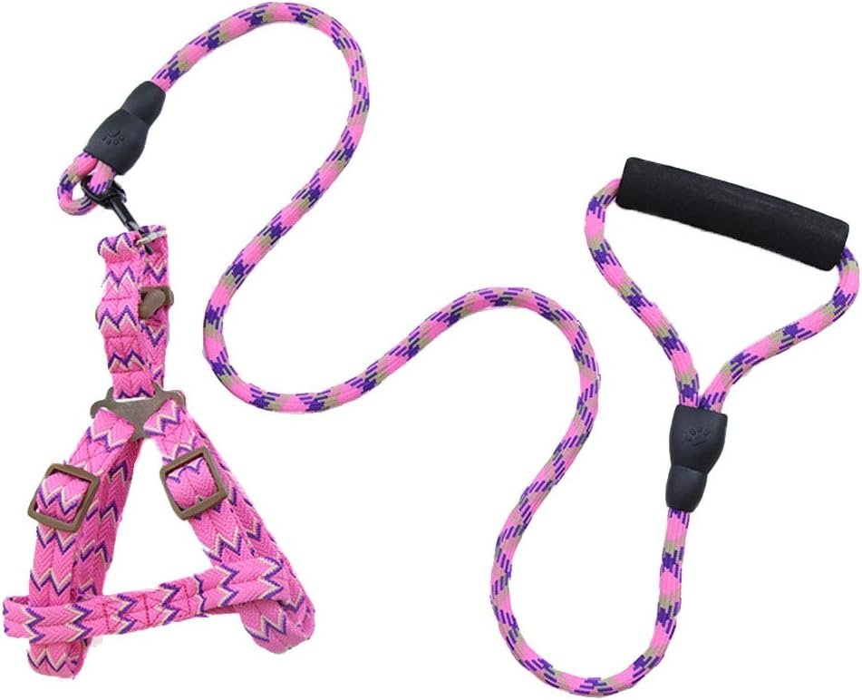 Dog Collars