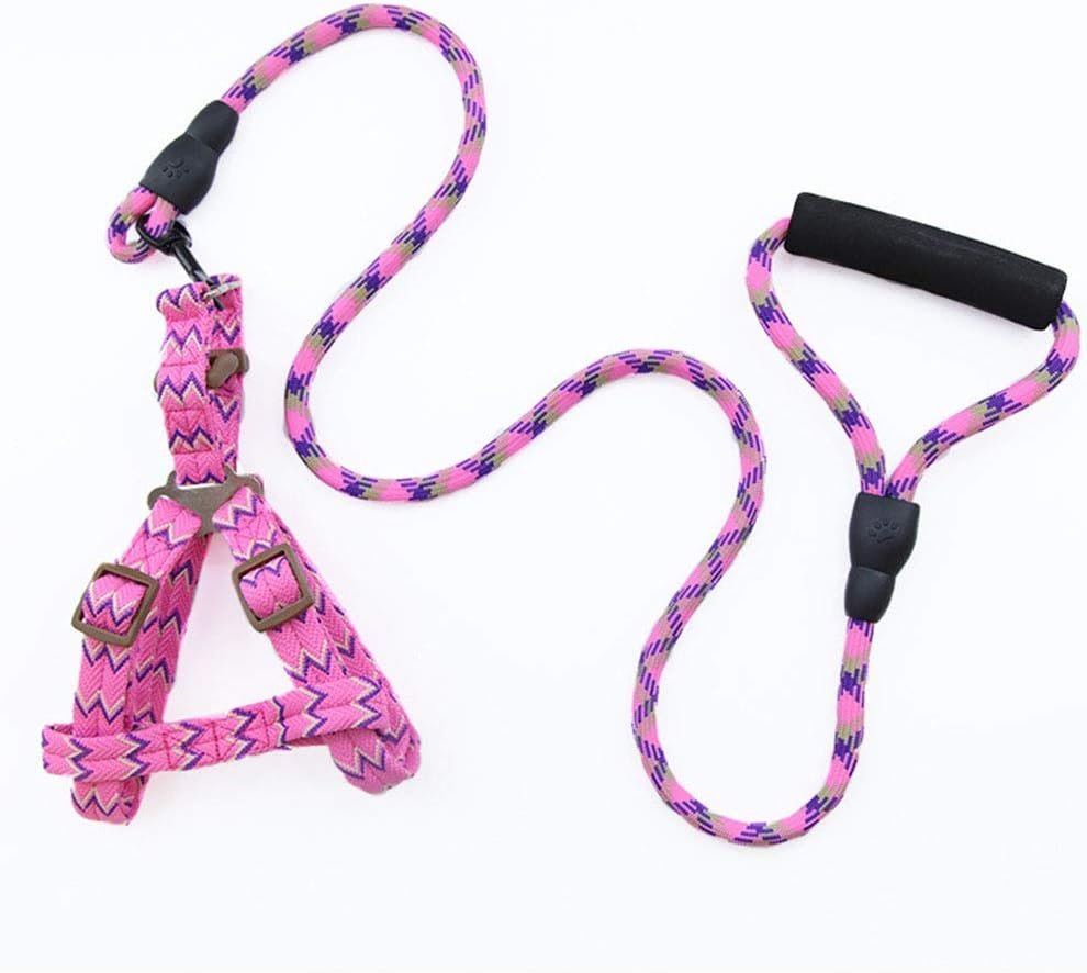 Dog Collars