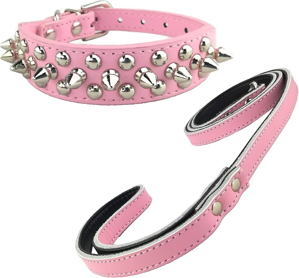 Fashion Dog Collar and Lead Set Soft Studded Collar with Leather ...