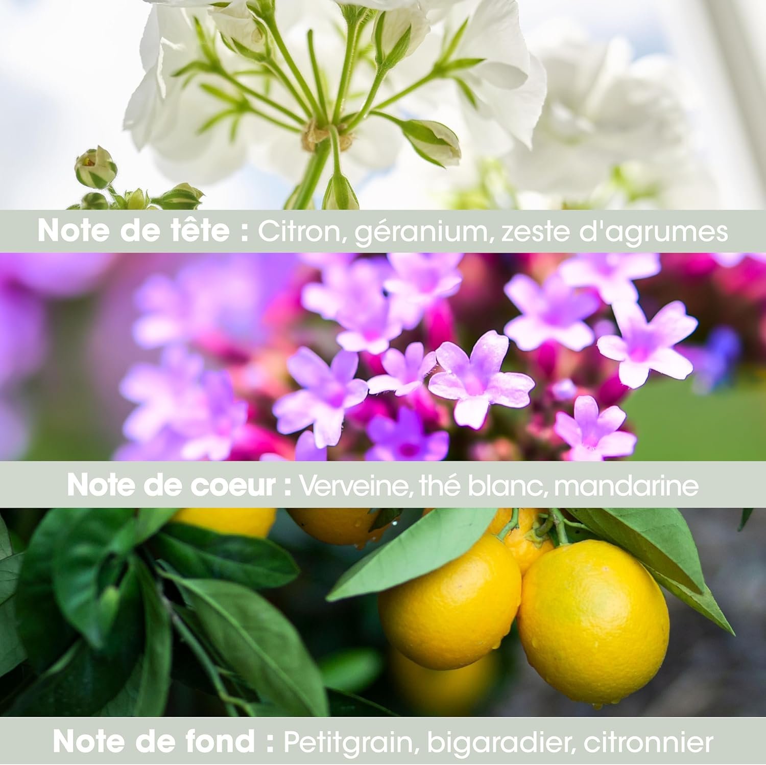 Feminine Hygiene Lancome
