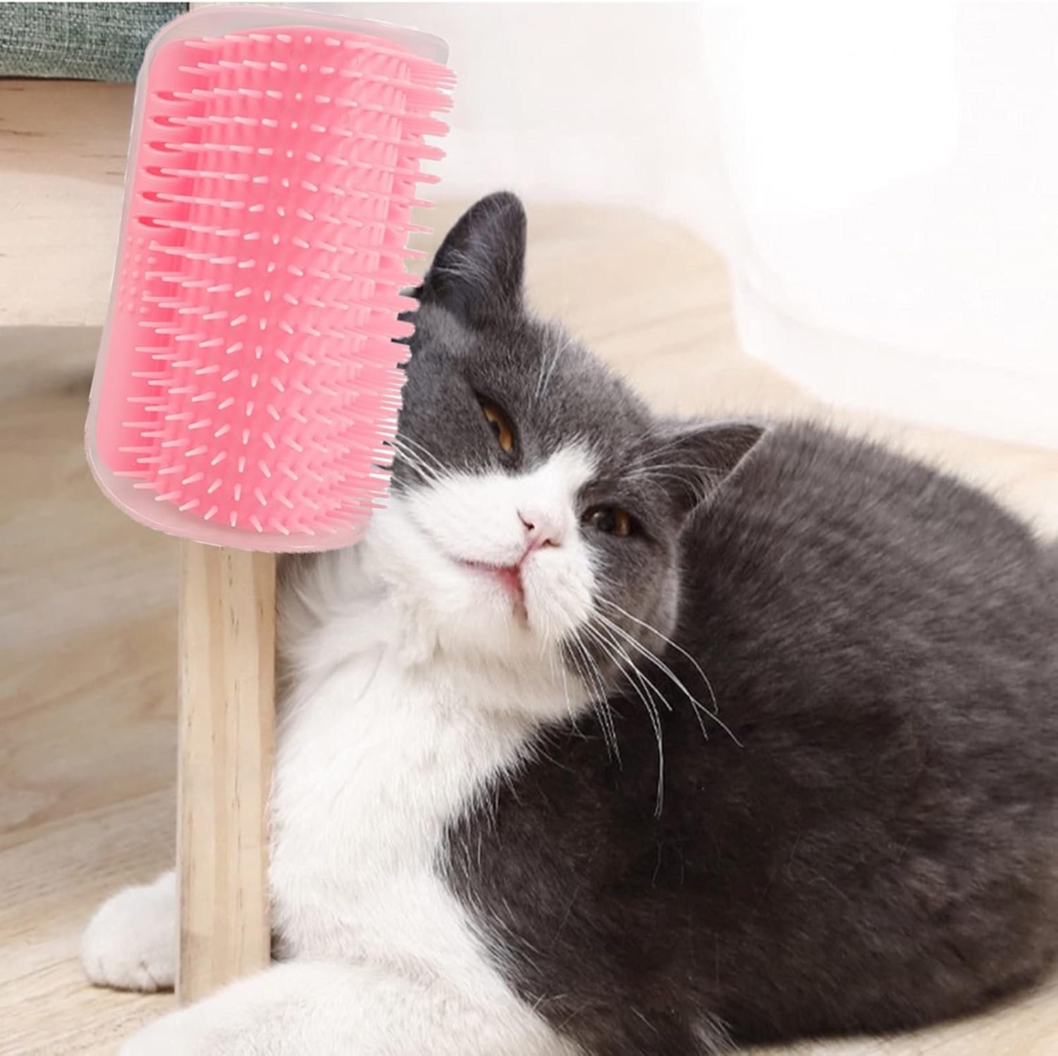 Grooming Items