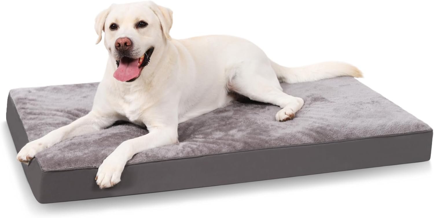 panier chien