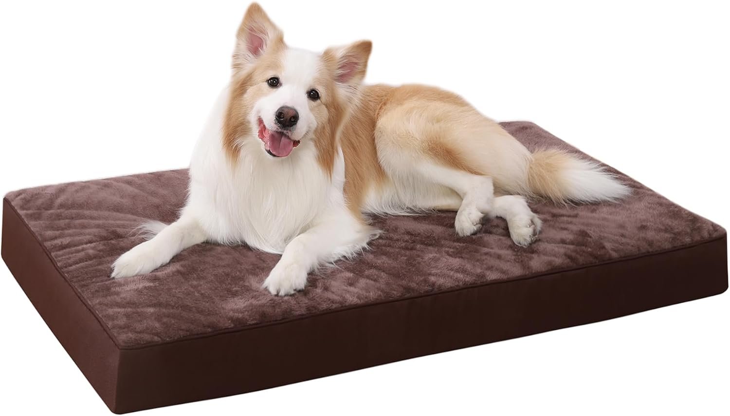Paniers pour chiens