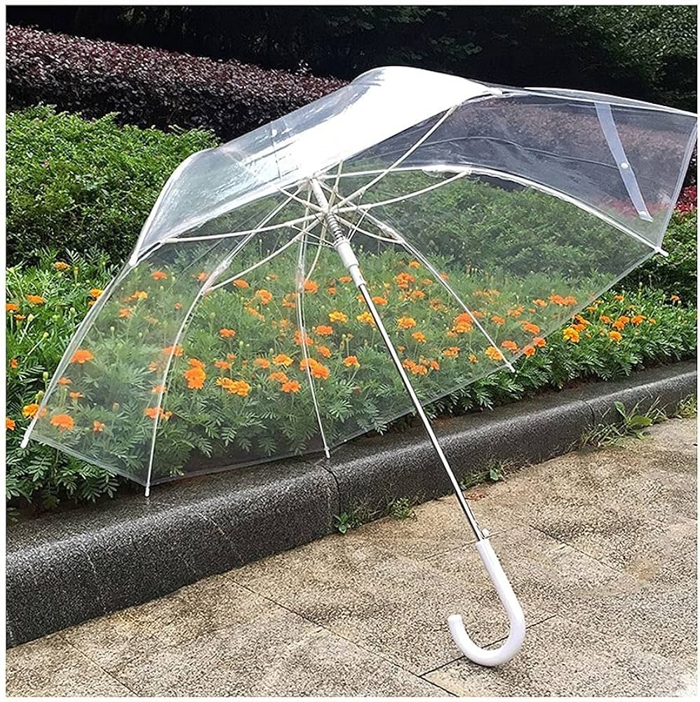 Parapluie Transparent