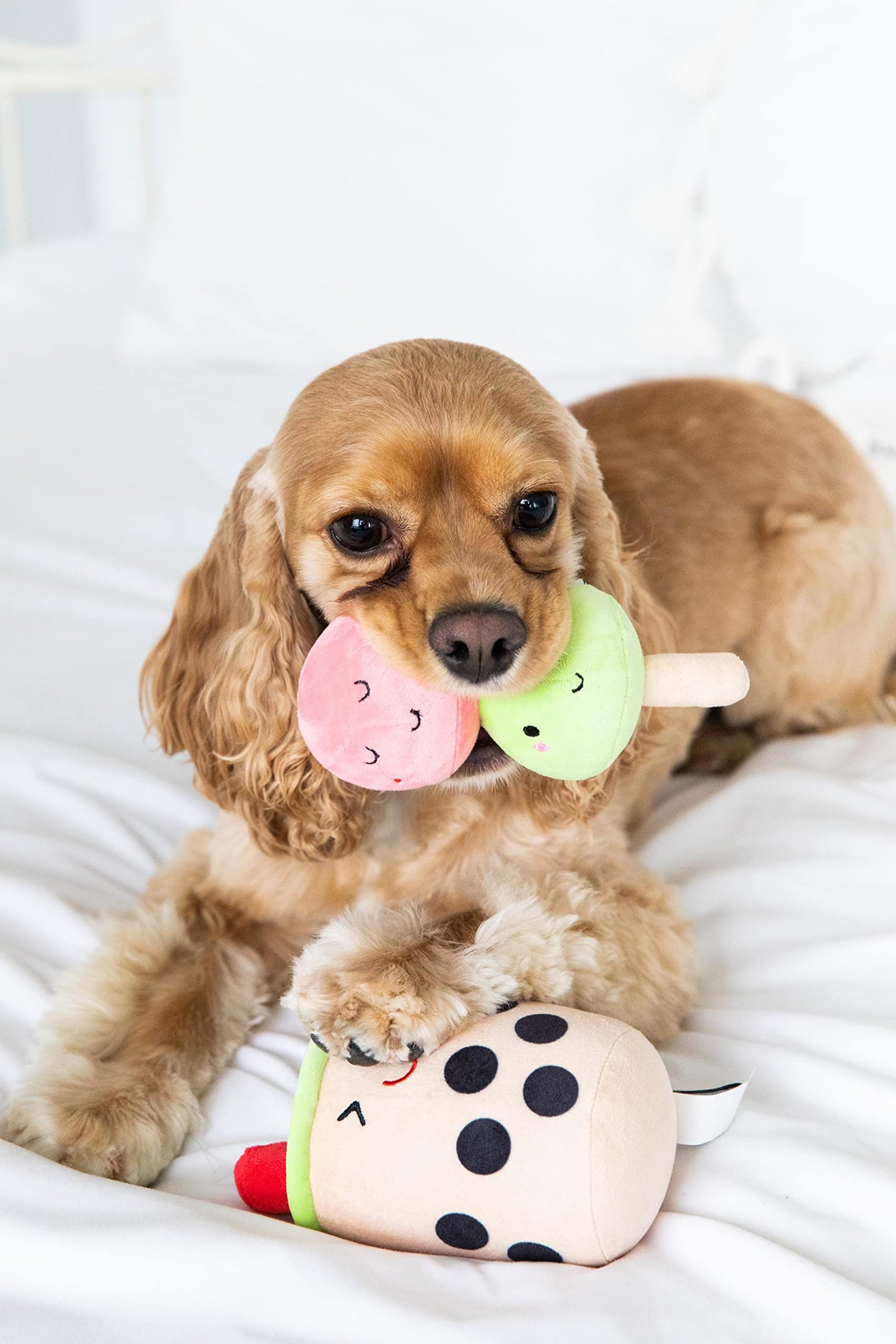 Pearhead Pet Toys, Plush Dog Squeaker Toys and Cat Teaser Toys ...