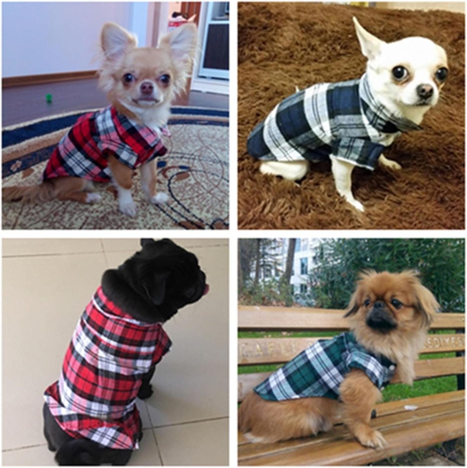 Pet Clothing Modern Or