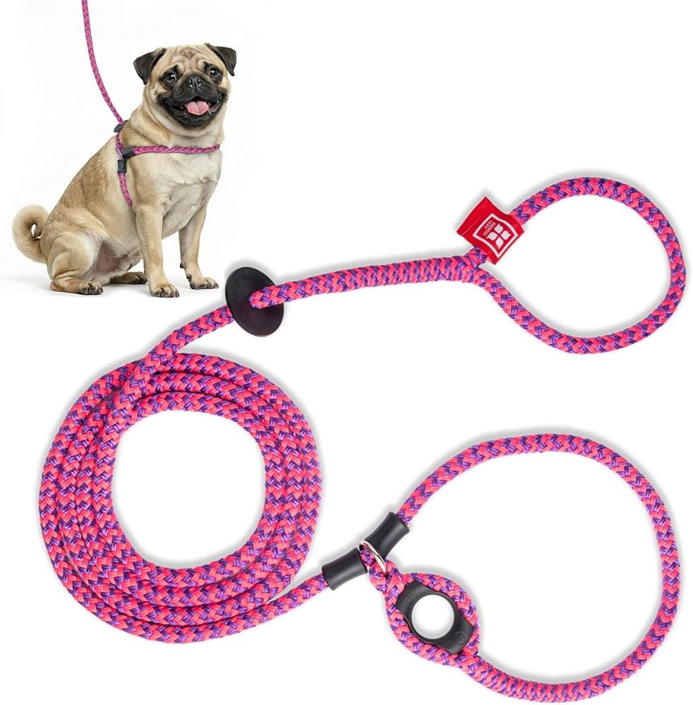 Pet Dog Collars Harnesses Leads, Training Walking Lead Leashes ...