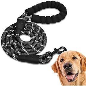 Pet Dog Collars Harnesses Leads, Training Walking Lead Leashes ...