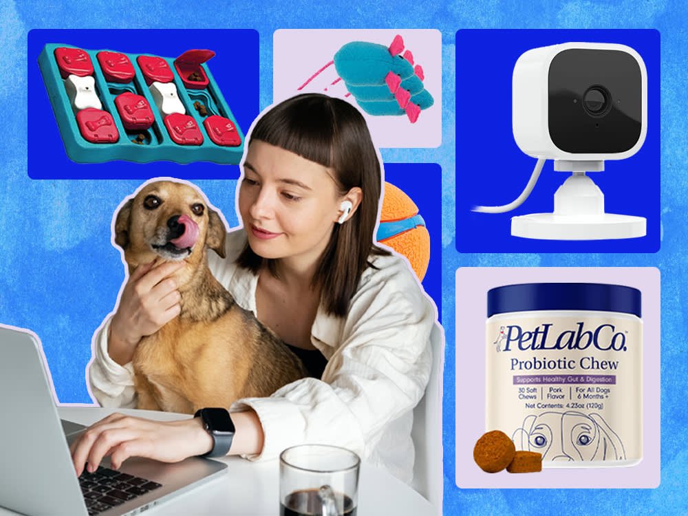 Pet Supplies