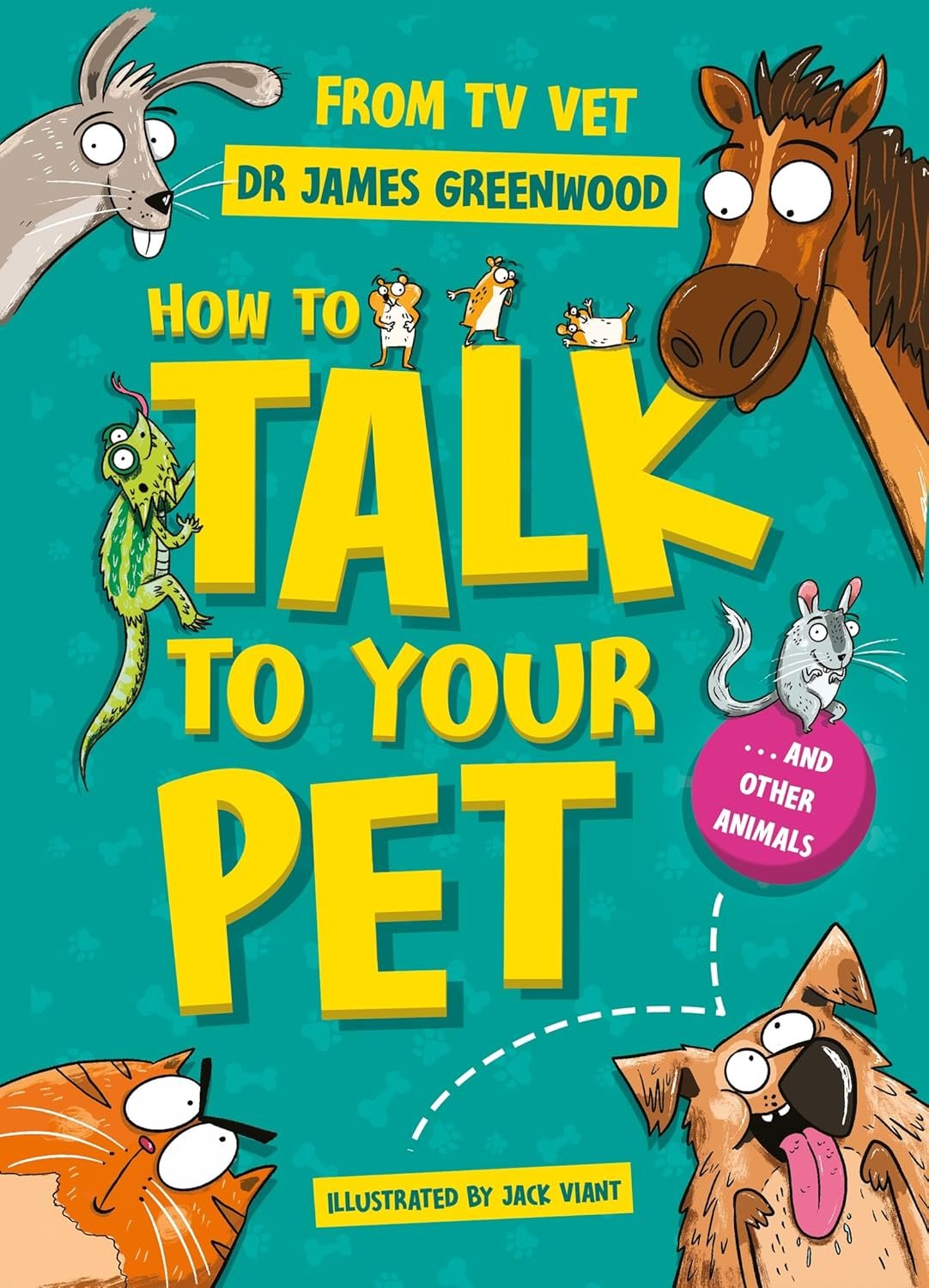 Pet Toys Argent