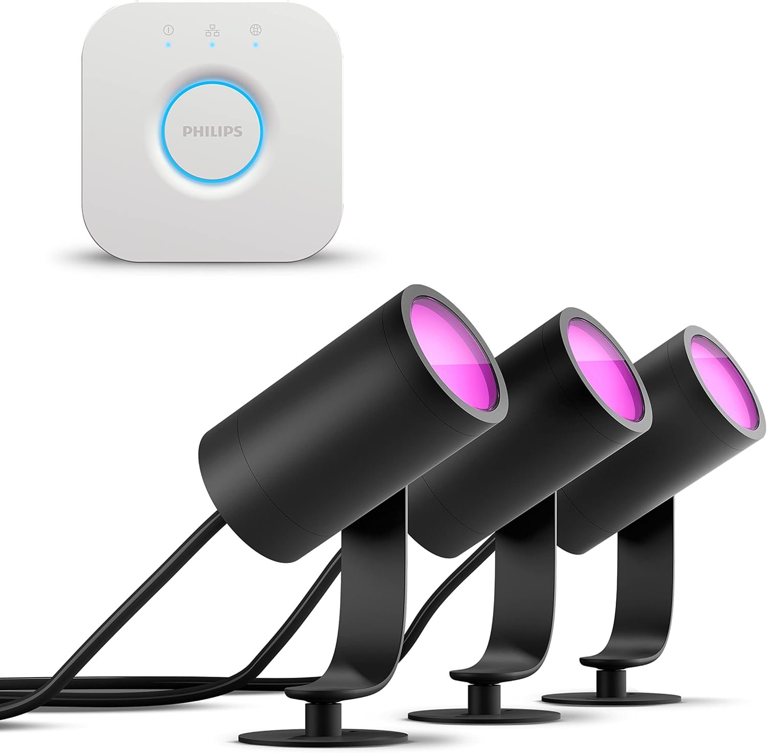 Philips Hue Outdoor Decoration