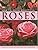 Seeds Plants Design Moderne - Rose