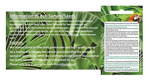 Seeds Plants Shop ID243 Lot de 5 graines de plantes de jardin ...