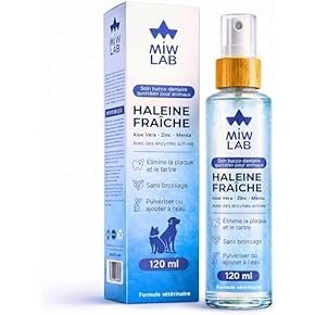 Sprays - Breath Fresheners: Health & Household