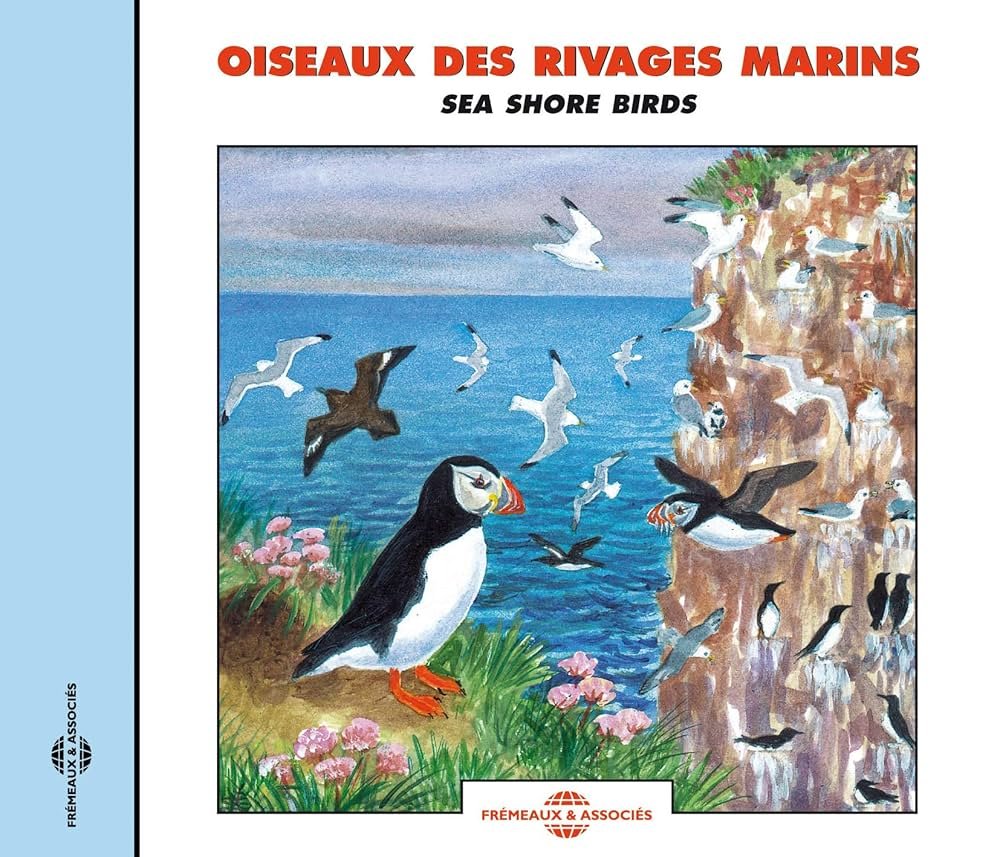 Spring Coasts : Birds by the Seaside : Sounds for Water Meditation ...