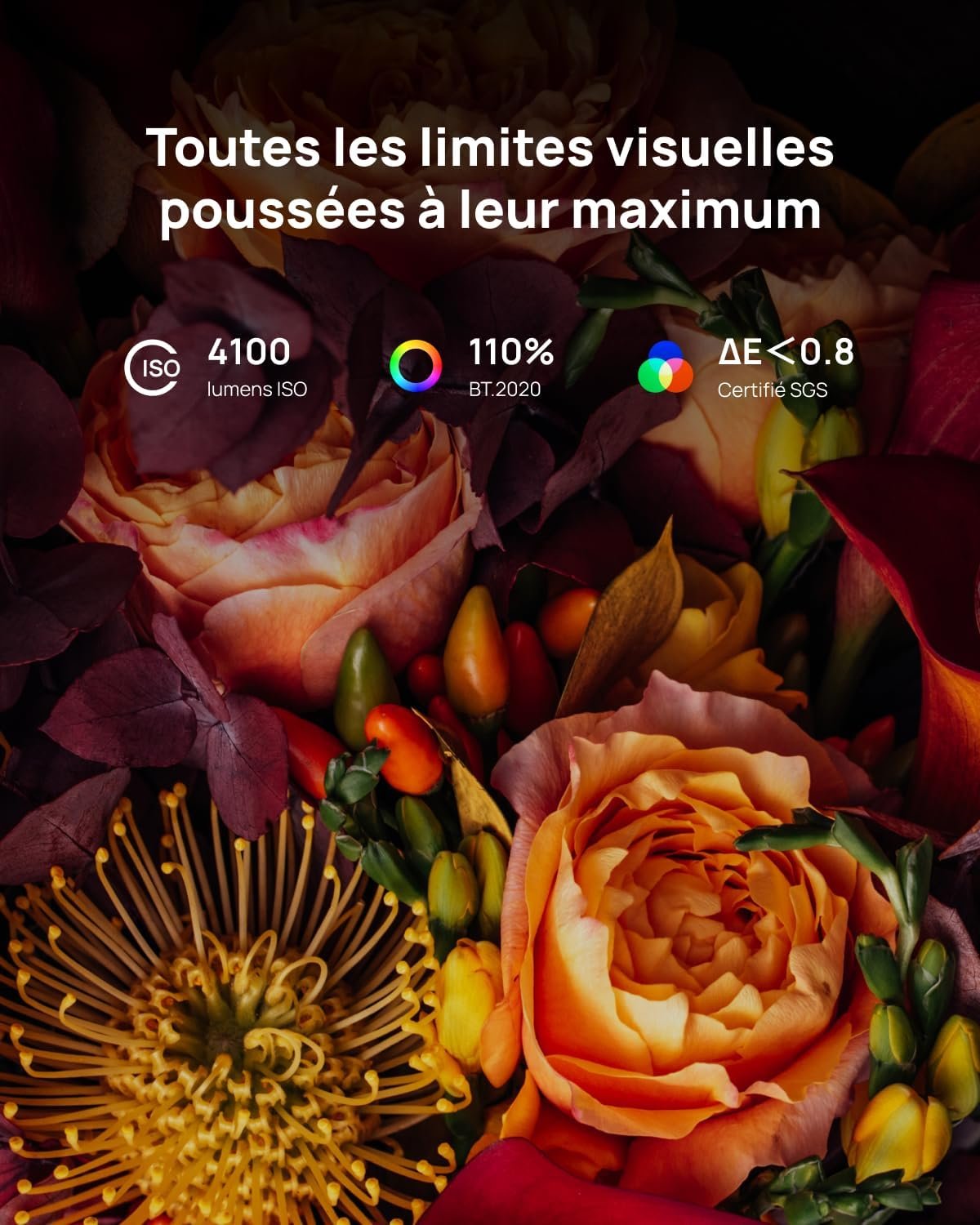 Televiseurs Smart Or