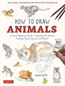 Guide Artiste Dessin d'Animaux