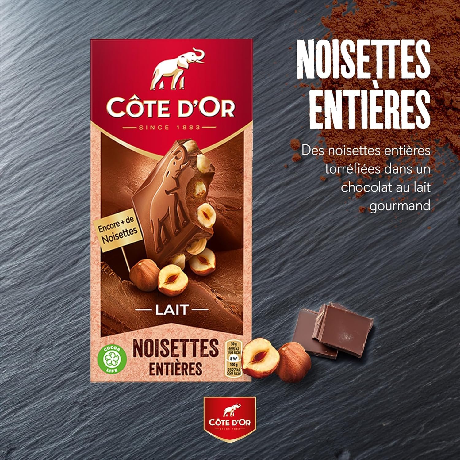 Vie & Passions Vert