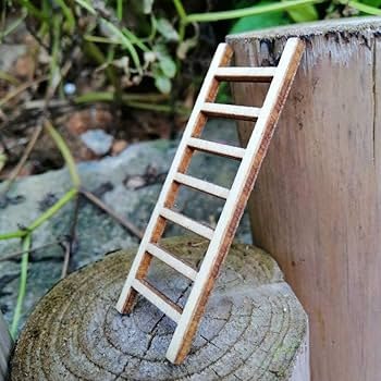 ZIYUMI 2pcs Mini Ladder Fairy Garden House Garden Outdoor ...