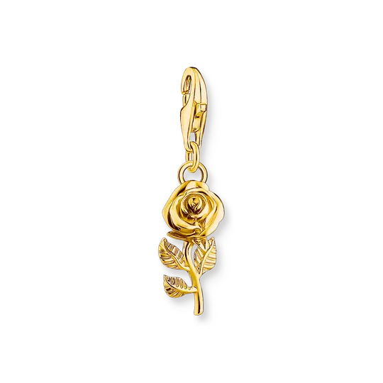 Sophistique Broches Flash Ambre Thomas Sabo