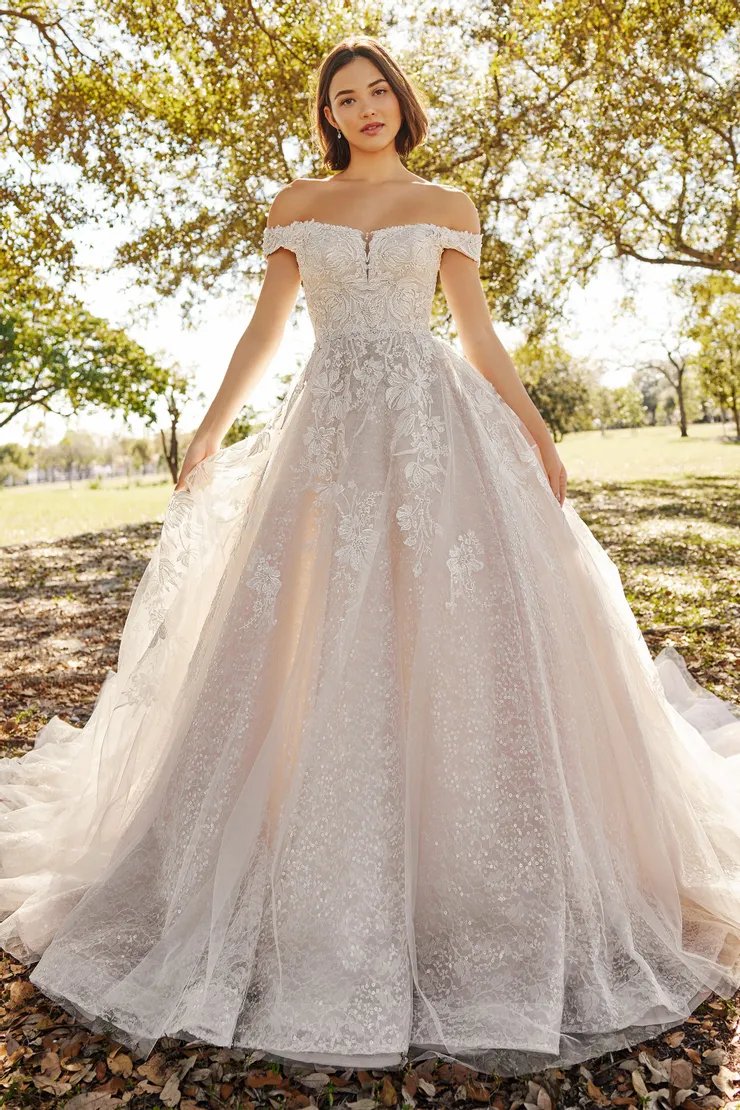 Wedding Dresses