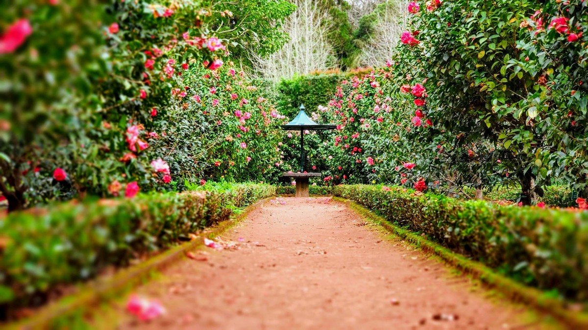 Jardin & Bricolage
